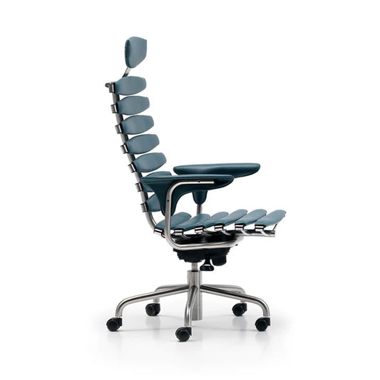 Luxury Office Chairs by de Sede | DS-2100