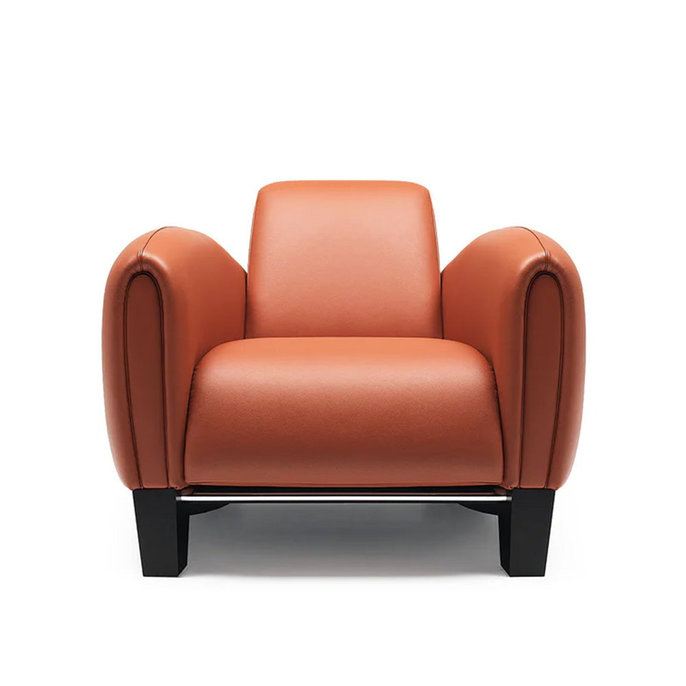 de Sede Luxury Armchairs | DS-57 Aero