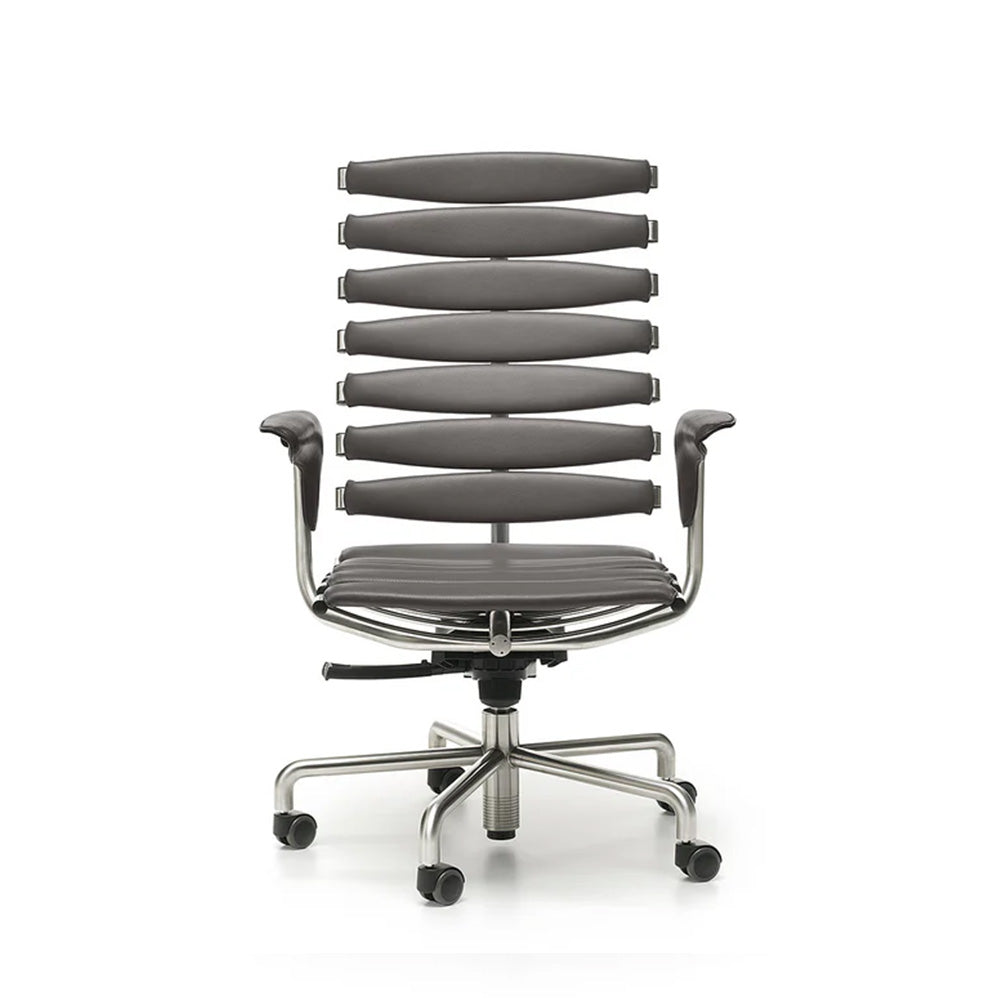 Luxury Office Chairs by de Sede | DS-2100