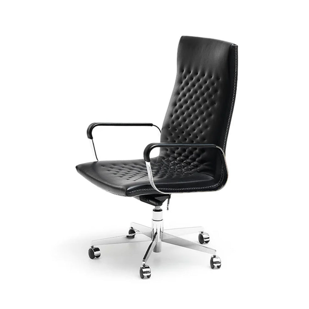 Luxury Office Chairs by de Sede | DS-1051