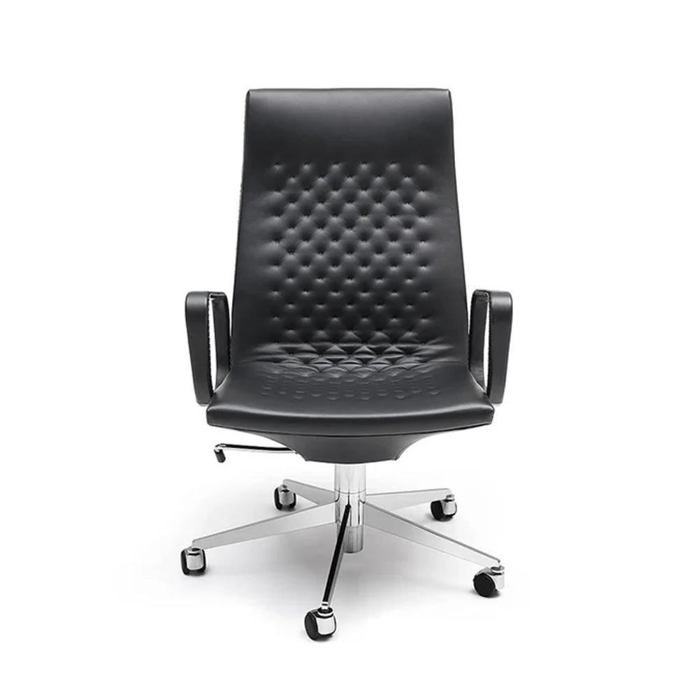Luxury Office Chairs by de Sede | DS-1051
